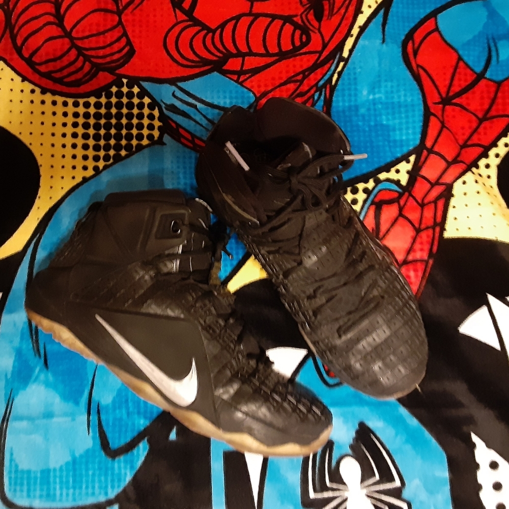 LEBRON 12